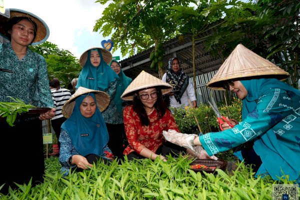 Lorong PKK Mangasa Disasar sebagai Pilot Ptoject Kampung PKK Binaan Provinsi Sulsel