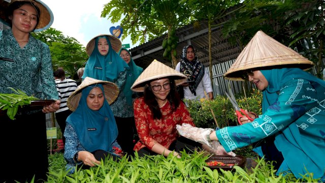 Lorong PKK Mangasa Disasar sebagai Pilot Ptoject Kampung PKK Binaan Provinsi Sulsel.