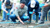 Tanam Jagung di Kecamatan Tanete Riaja, Bupati Barru Suardi Saleh Harap Hasil Panen Meningkat