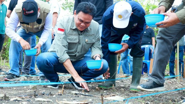 Bupati Barru Suardi Saleh Tanam Jagung di Kecamatan Tanete Riaja.