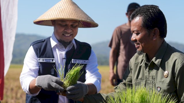 Andi Sudirman Sulaiman Berhasil Kembalikan Kejayaan Pertanian Sulsel.