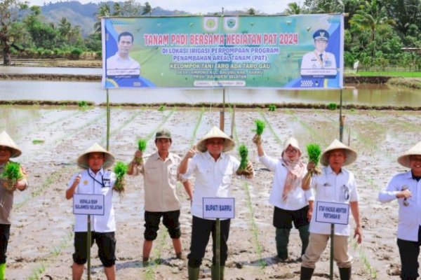 Bupati Barru Suardi Saleh Bersama Staf Ahli Mentan RI Tanam Padi Perdana di Lampoko
