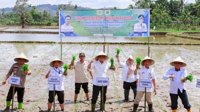 Bupati Barru Bersama Staf Ahli Mentan Tanam Padi Perdana