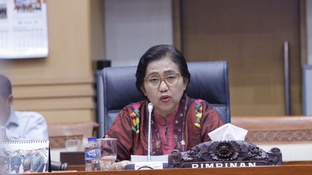 Anggota Komisi IX DPR RI dari Fraksi Partai NasDem, Irma Suryani.