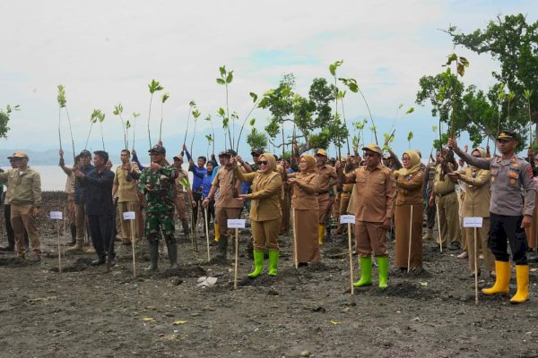 Tindak Lanjuti Himbauan PJ Gubernur, Pemkab Mamuju Galakkan Sepekan Tanam Mangrove