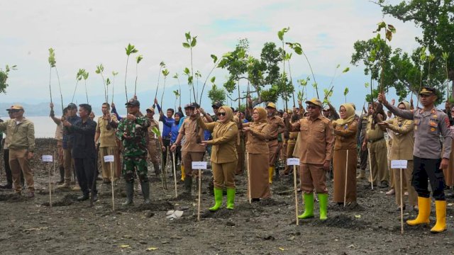 Tindak Lanjuti Himbauan PJ Gubernur, Pemkab Mamuju Galakkan Sepekan Tanam Mangrove