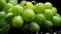 Wamentan: Larangan Peredaran Anggur Muscat Menunggu Hasil Uji BPOM