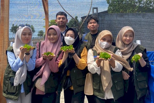 Kampus Entrepreneur, Kalla Institute Ikut Andil dalam Program Wirausaha Merdeka 2024