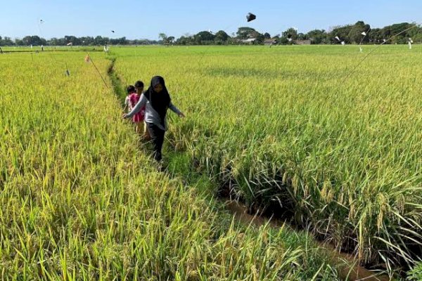 Di Era Andalan Ekonomi Sulsel Tumbuh Baik, Guru Besar : Berhasil Bangkit Pascacovid Itu Luar Biasa