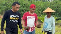 Syaharuddin Alrif Pilih Berkebun di Masa Tenang Pilkada Sidrap