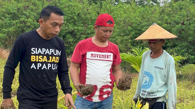 Calon Bupati Sidrap, Syaharuddin Alrif