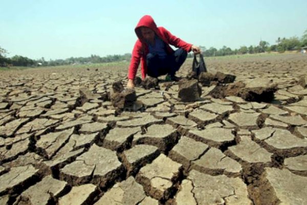 Makassar Status Siaga Darurat Kekeringan, 3 Kecamatan-12 Kelurahan Terdampak