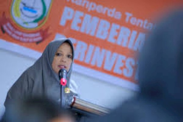 FGD Ranperda Kemudahan Investasi, Yeni Rahman Harap Kembangkan Ekonomi UMKM dan Pekerja Lokal