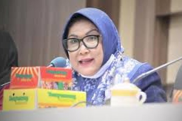 Anggota DPRD Makassar Apiaty Amin Syam Ingatkan Masyarakat Waspadai Air Tercemar Limbah