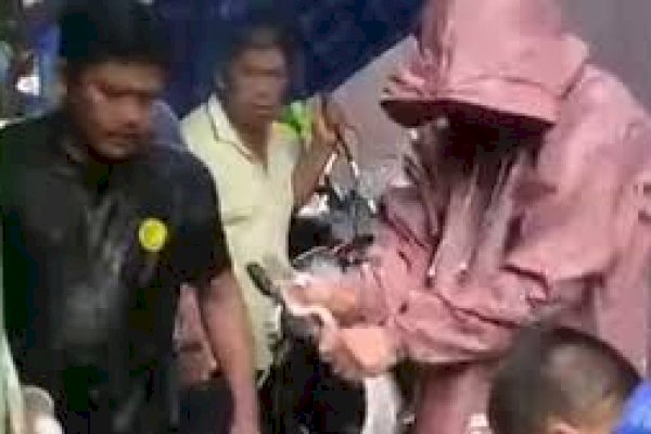 Ular Piton Muncul di Permukiman Warga Makassar Saat Hujan Deras