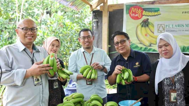 Bank Sulselbar Komitmen Fasilitasi Petani Nikmati Manfaat KUR Pisang Cavendish