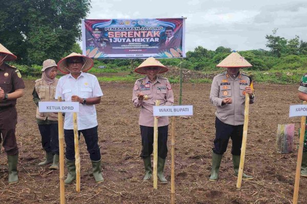 Pangkep Dukung Swasembada Pangan, Ketua DPRD Haris Gani-Wabup Syahban Sammana Ikut Tanam Jagung Serentak