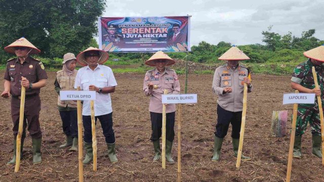 Ketua DPRD Pangkep Haris Gani-Wabup Syahban Sammana Ikut Tanam Jagung Serentak.