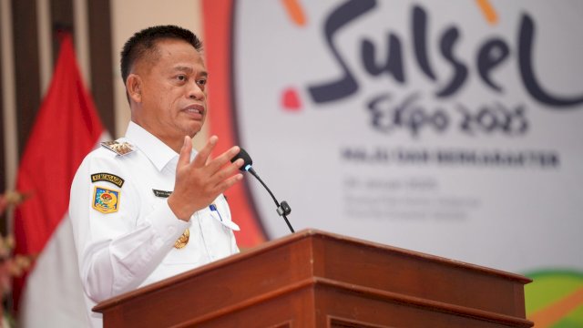 Penjabat Gubernur Sulsel, Prof Fadjry Djufry.