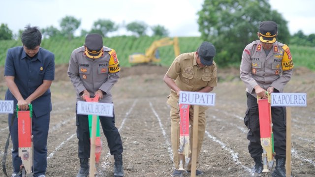 Bupati Soppeng, Andi Kaswadi Razak, Bersama Forkopimda Soppeng Tanam Jagung Serentak.