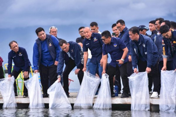 Tebar Ribuan Bibit Ikan, NasDem Berkomitmen Jaga Kelestarian Ekosistem Danau Toba