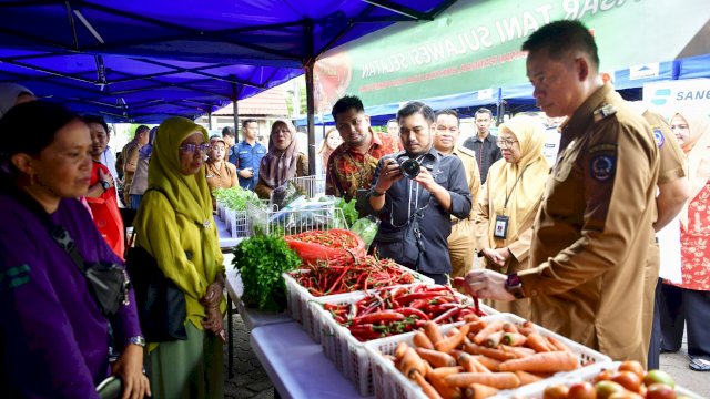 Pj Gubernur Prof Fadjry Djufry.