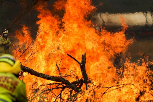 Kebakaran Hutan Parah Landa Australia, Hanguskan Nyaris Seluas Singapura