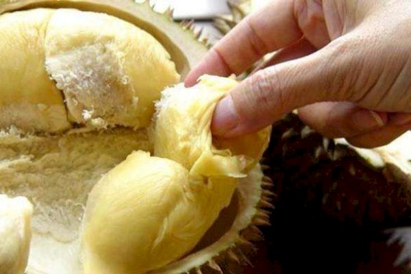 Kalahkan Indonesia, Vietnam jadi Raja Durian di Dunia, Nilai Ekspor Capai Rp 53,6 Triliun pada 2024