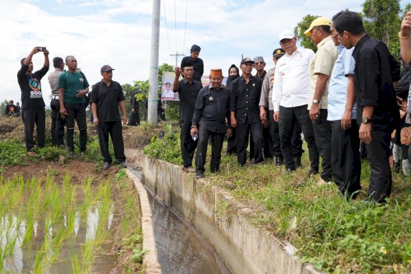 Pemkab Bulukumba Sebut Perbaikan Irigasi Tersier Berhasil Tingkatkan Hasil Panen Petani