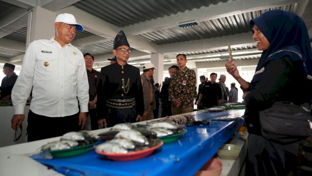 Pj Gubernur Sulsel, Prof Fadjry Djufry.