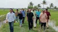 Rugikan Petani Sawah, Komisi D DPRD Sulsel Tinjau Tanggul Sungai yang Jebol di Pinrang