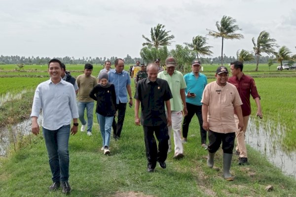 Rugikan Petani Sawah, Komisi D DPRD Sulsel Tinjau Tanggul Sungai yang Jebol di Pinrang