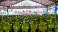 Pemkab Luwu Timur Tindak Tegas Pangkalan Pelanggar Aturan Harga LPG