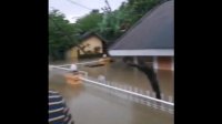 Banjir Capai 1 Meter, Warga Makassar Mulai Dievakuasi