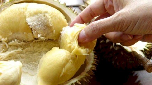 Ilustrasi Durian.