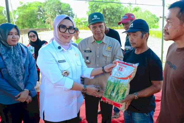 Bupati Barru Andi Ina Serahkan Bantuan Benih Padi di Kecamatan Balusu