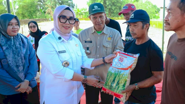 Bupati Barru Andi Ina Serahkan Bantuan Benih Padi di Kecamatan Balusu.