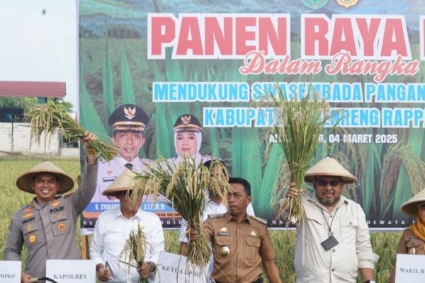 Bupati Sidrap Syaharuddin Alrif Dampingi Dirjen PSP Kementan Panen Padi di Allakuang