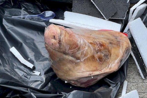 Bareskrim Bersama Polda Metro Olah TKP Dugaan Teror di Kantor Tempo, Dikirimi Kepala Babi hingga Bangkai Tikus