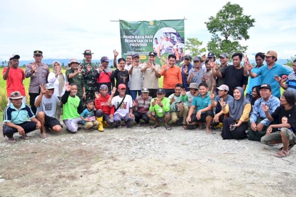 Panen Raya Serentak, Luwu Utara Hasilkan Rp1,5 Triliun Produksi Padi