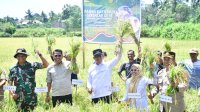 Bersama Presiden dan Mentan, Wabup Sinjai Ikut Panen Raya Padi Serentak