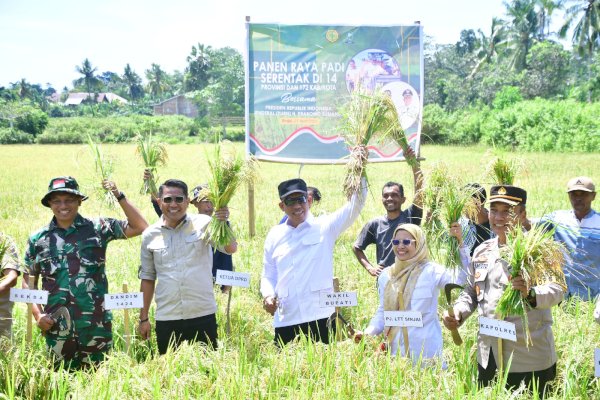 Bersama Presiden dan Mentan, Wabup Sinjai Ikut Panen Raya Padi Serentak