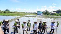 Hadir Via Zoom, Bupati Jeneponto Paris Ikut Tanam Padi Serentak 14 Provinsi Bersama Presiden RI
