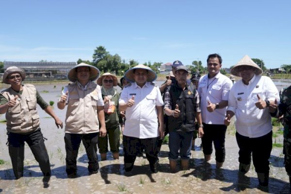 Hadiri Gerakan Menanam Padi, Wali Kota Munafri Tekankan Dukungan Swasembada Pangan