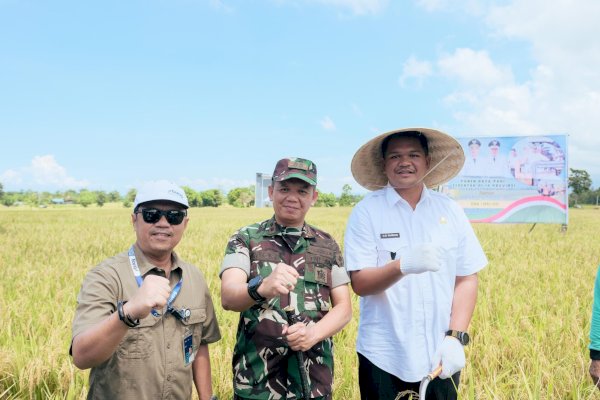 Panen Raya Padi Serentak, Bantaeng Nyaris Capai Target GKP