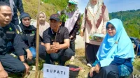 Peringati Hari Bumi 2025, Bupati Enrekang Yusuf Ritangnga Tanam Pohon di Wisata Alam Buttu Macca