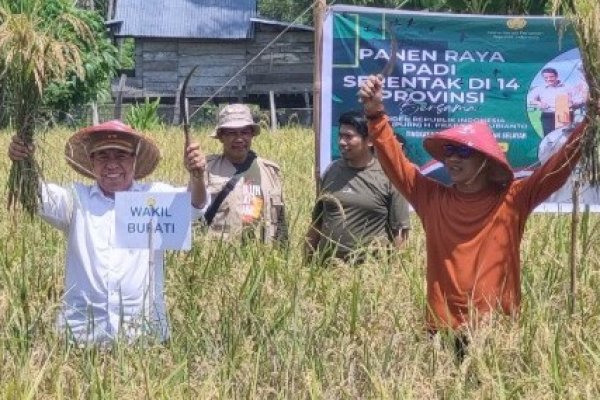 Bupati dan Wabup Selayar Panen Raya Padi Serentak di Desa Mare-Mare