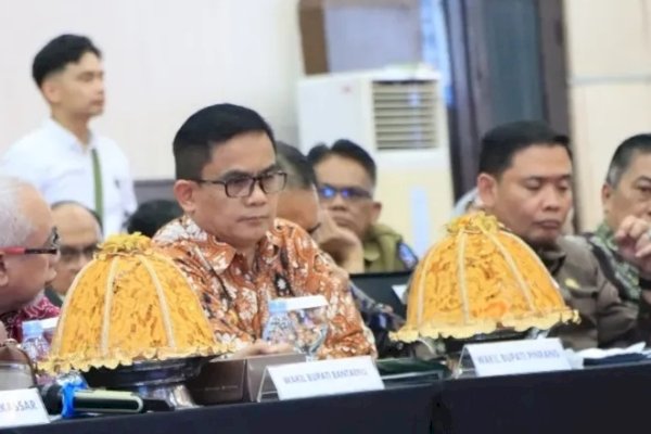 Wabup Pinrang Sambut Baik Akselerasi Pembangunan Melalui Investasi-Hilirisasi Berkelanjutan