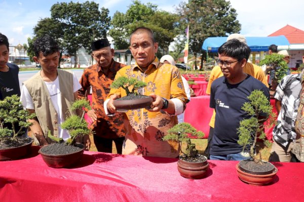 Bupati Irwan Tutup Pameran Bonsai Jilid II, Kagumi Pesona Bonsai Endemik Lutim