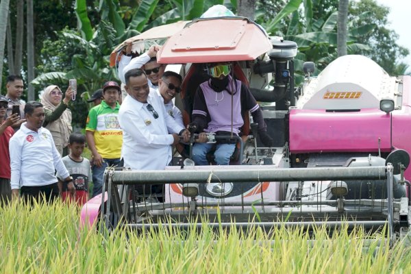 Kabupaten Luwu Turut Wakili Sulsel di Panen Raya Serentak Bersama Presiden Prabowo